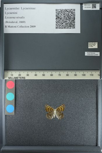 Media type: image;   Entomology 183599